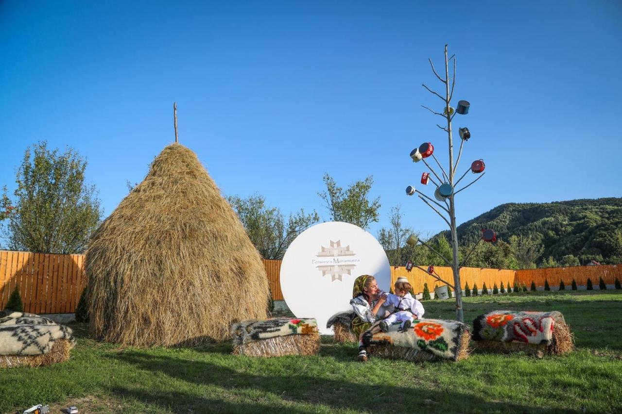Pensiunea Maramures Guesthouse 下维谢乌乡 外观 照片