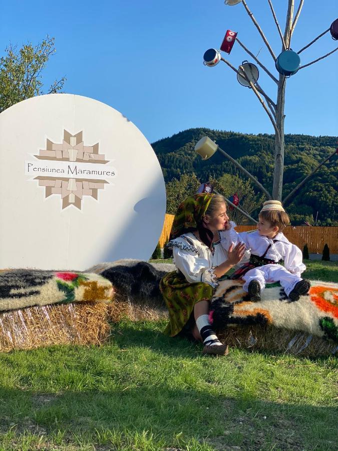 Pensiunea Maramures Guesthouse 下维谢乌乡 外观 照片