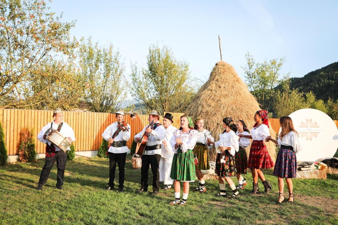 Pensiunea Maramures Guesthouse 下维谢乌乡 外观 照片