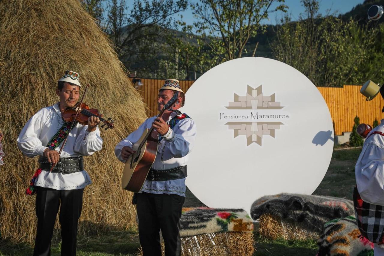 Pensiunea Maramures Guesthouse 下维谢乌乡 外观 照片